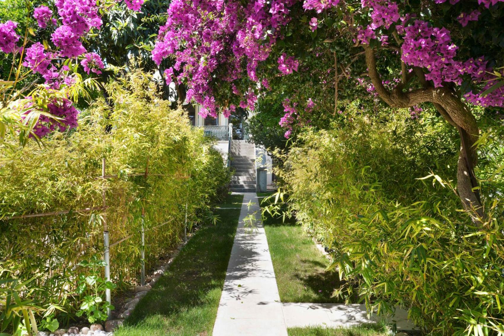 דירות אלקוצ'טה Jardim De Copas מראה חיצוני תמונה