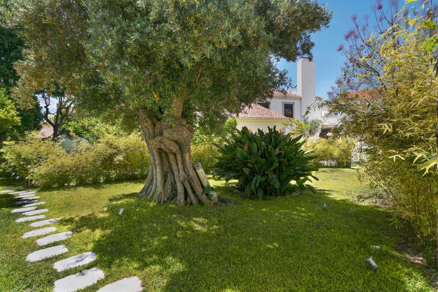 דירות אלקוצ'טה Jardim De Copas מראה חיצוני תמונה